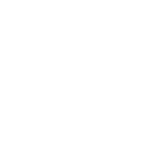 Event Supporters - VDK